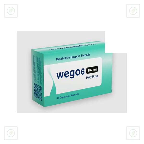 Wego6